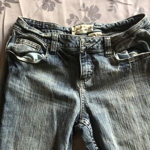 maurices sz 7 short Taylor Bootcut Jean